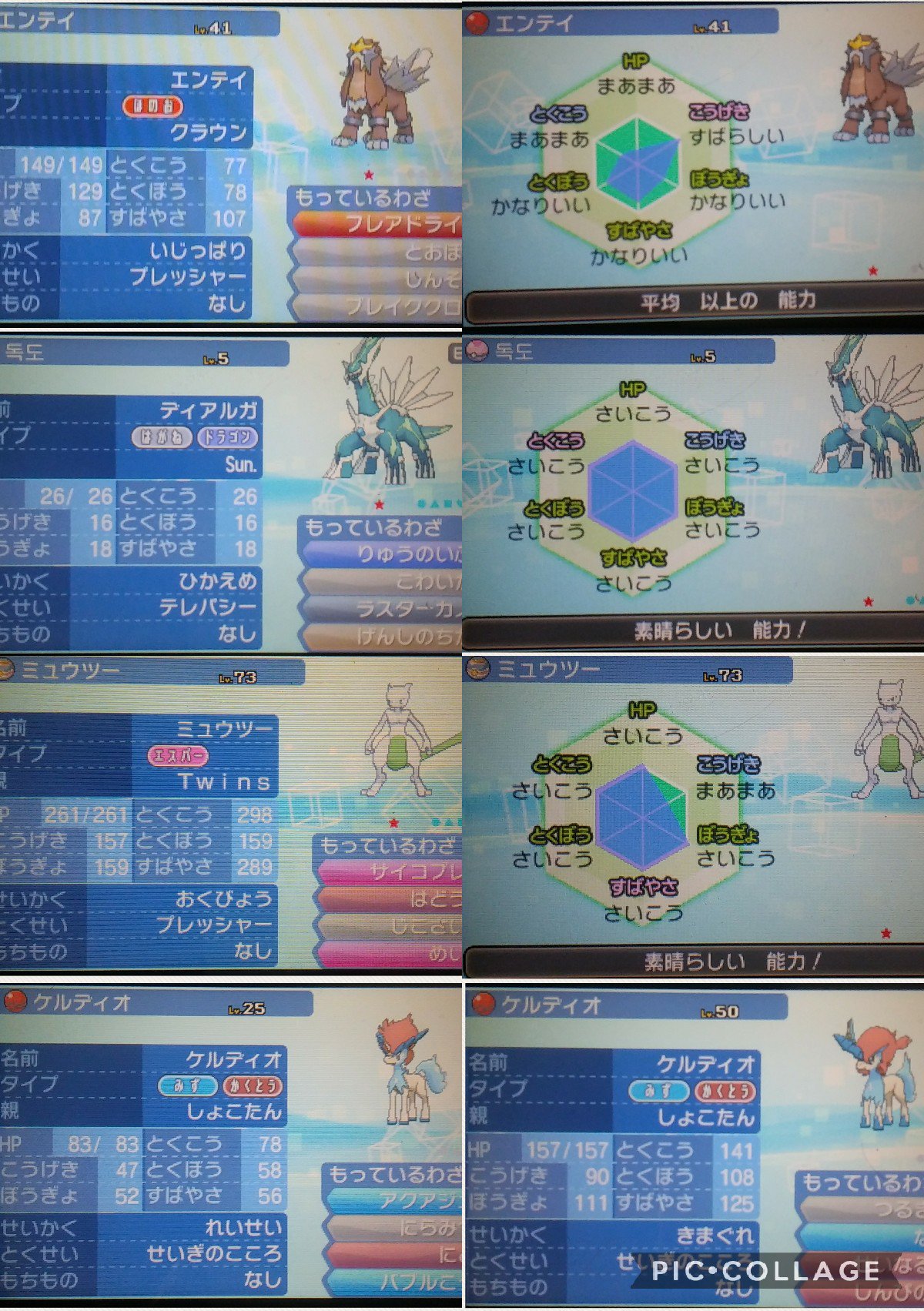 ポケモン Y 配布 未受け取り 色違い アルセウス デセルシティ ポケモン