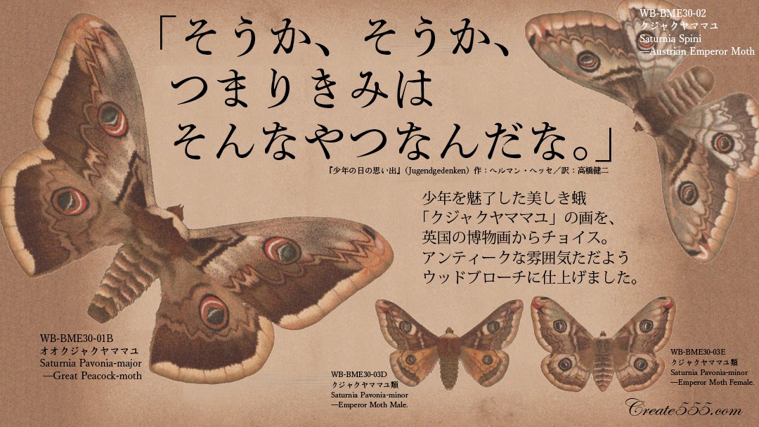 Create555では国語の教科書で御馴染み「少年の日の思い出」に登場する