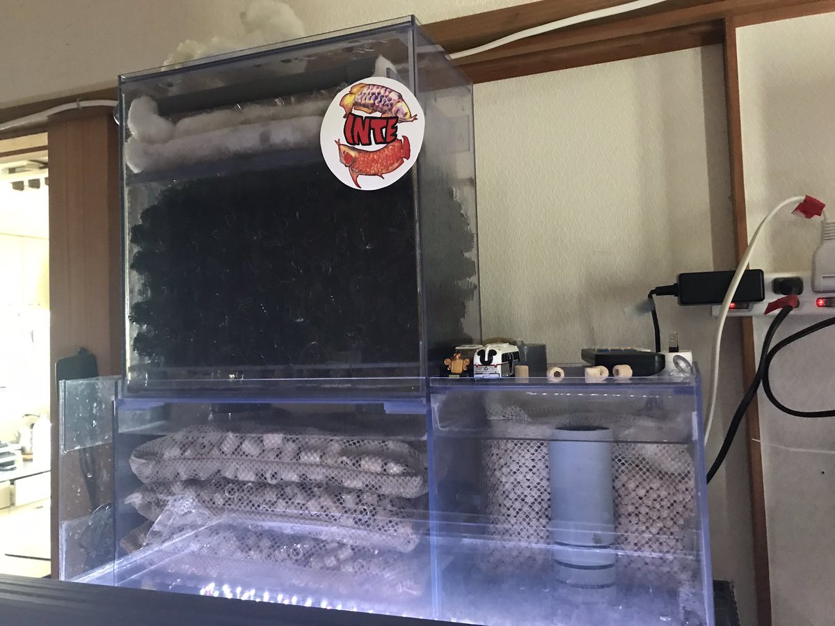 ぷぅ工房の上部フィルターで揃えてみました✨✨✨#ぷぅ工房