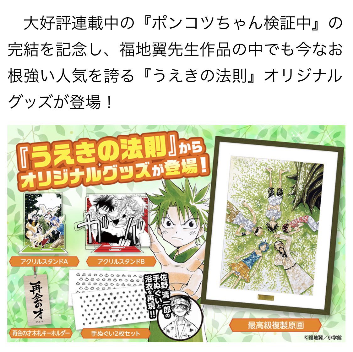 うえきの法則』 再会の才 木札キーホルダー | 小学館の総合通販サイト