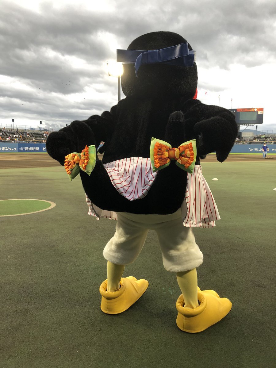 つばみちゃんもスタンバイOK😃in松山坊ちゃんスタジアム⚾️ #swallows