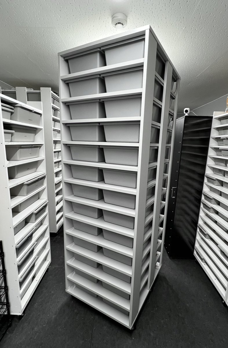 06snakeracks (@06snakeracks) / Posts / X