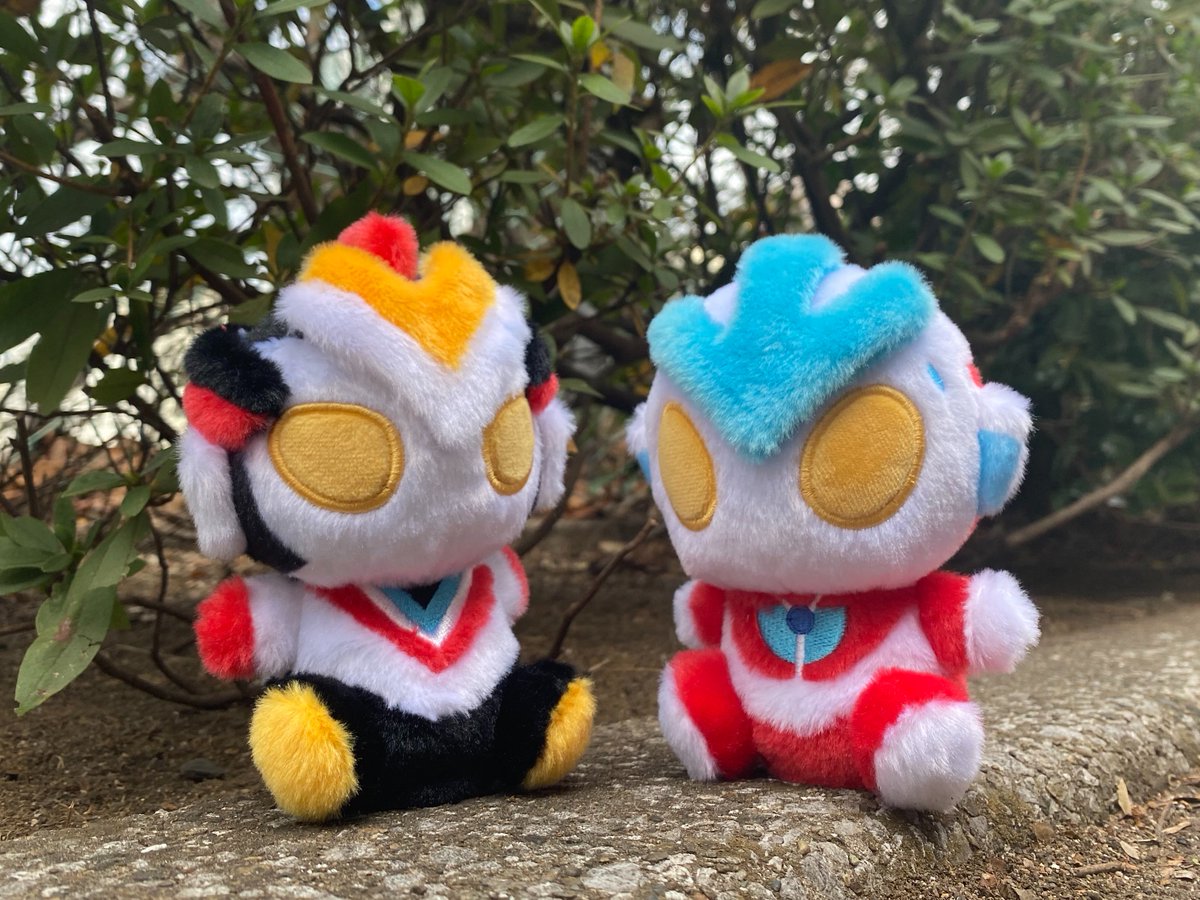 FK9IZGaaAAIhoFd.jpg?format=jpg