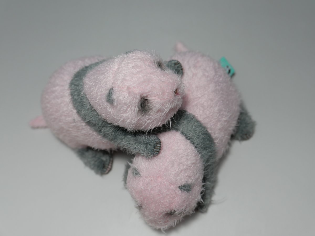 ZooShopより🚚】 ほんとの大きさパンダの仔 蕾蕾 146g/暁暁 124g