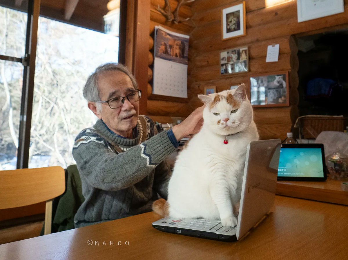 父がメイを撫でようとすると… パーンチ✊🔥 こうなることは分かって