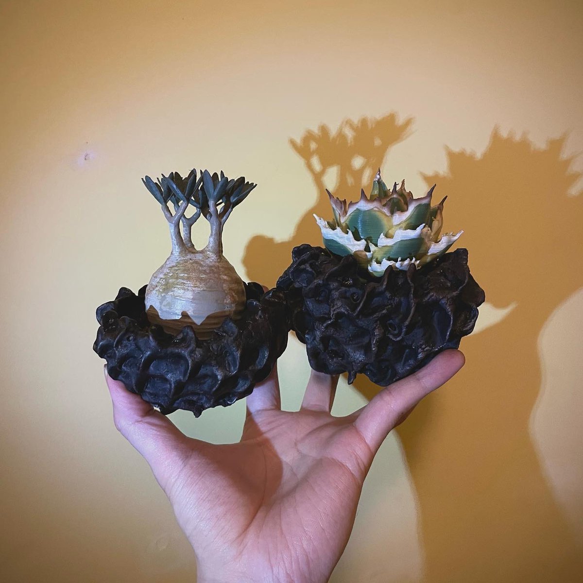 F.E.P. (Five Elements Plants) (@FEPFiveElement) / Posts / X