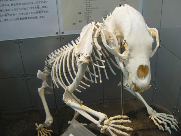 少し肌寒いサイオト山です｡ﾟ(ﾟ´ω`ﾟ)ﾟ｡写真は八幡湿原近くにある芸北