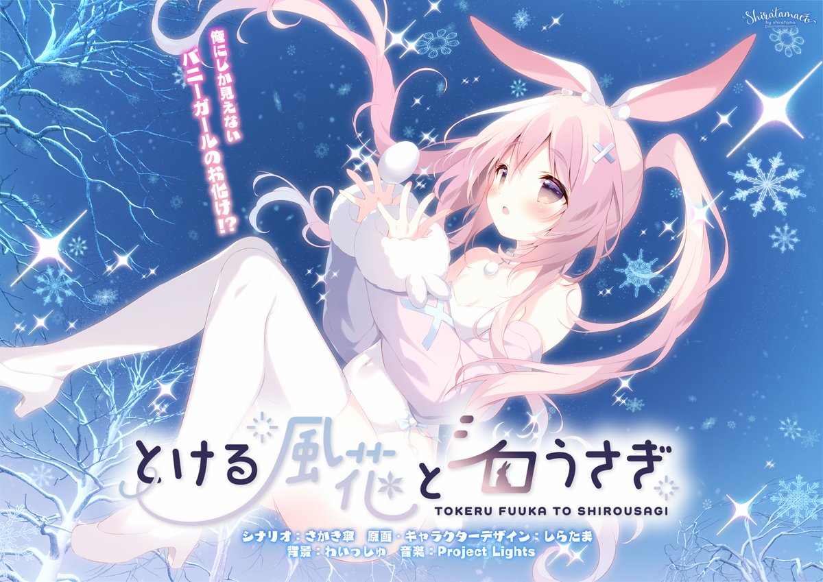 ⌢⌢⌢⌢⌢⌢⌢⌢⌢⌢⌢⌢ 𝑺𝒉𝒊𝒓𝒂𝒕𝒂𝒎𝒂𝒄𝒐* 𝑵𝑬𝑾