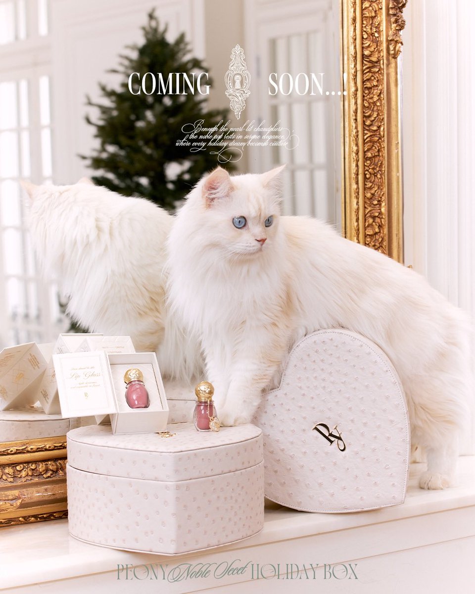 ⋱ 𝐶𝑜𝑚𝑖𝑛𝑔 𝑠𝑜𝑜𝑛 ⋰ Peony Noble Secret Holiday Box