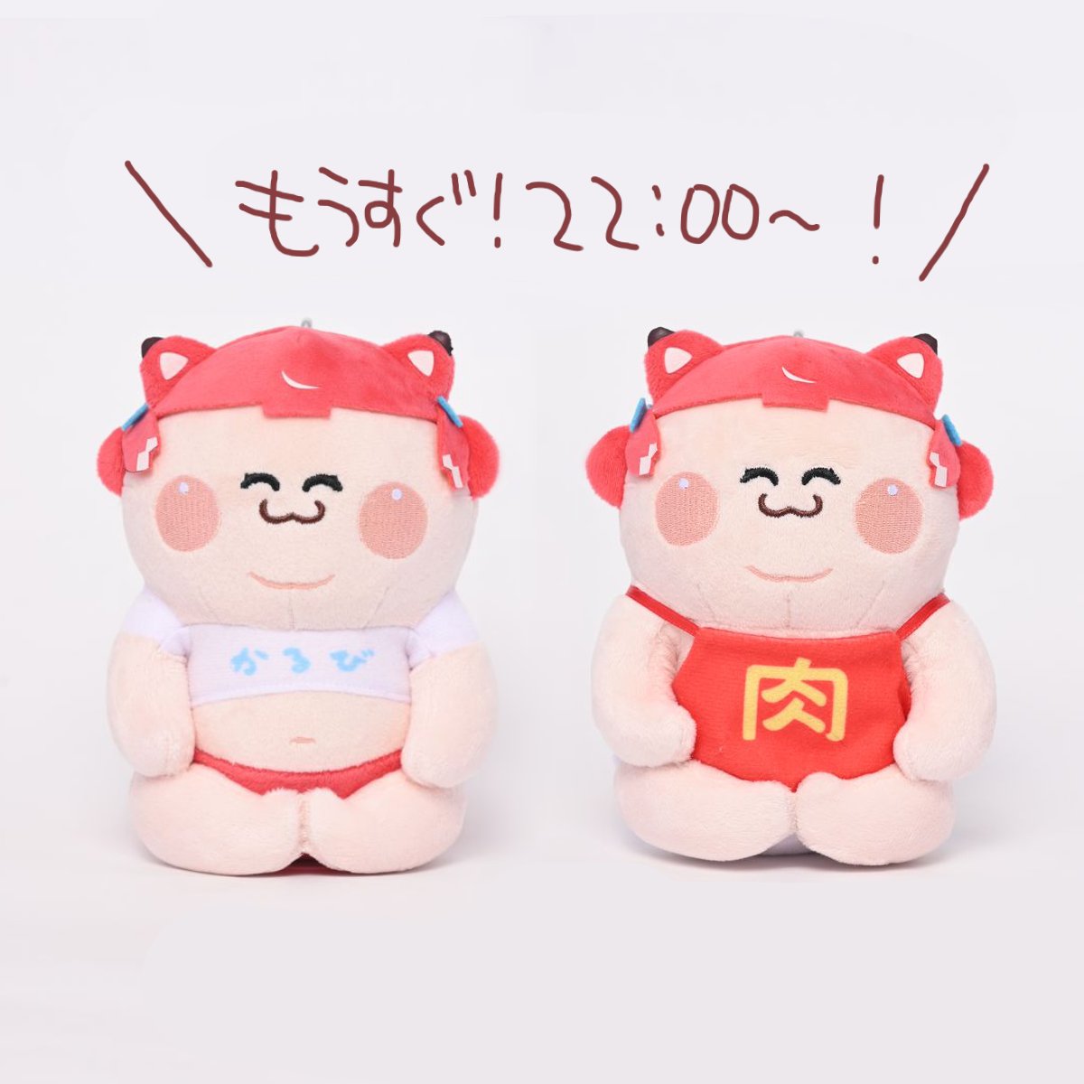 もうすぐだよー！22時から！🥩 ・デブかるびぬいぐるみ（寝） ・デブ