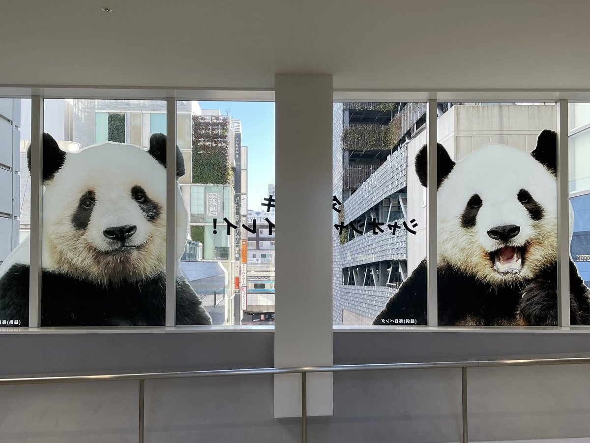 ダイスキ」のメッセージでいっぱいにしよう❤️🐼🐼 お客様に書いて