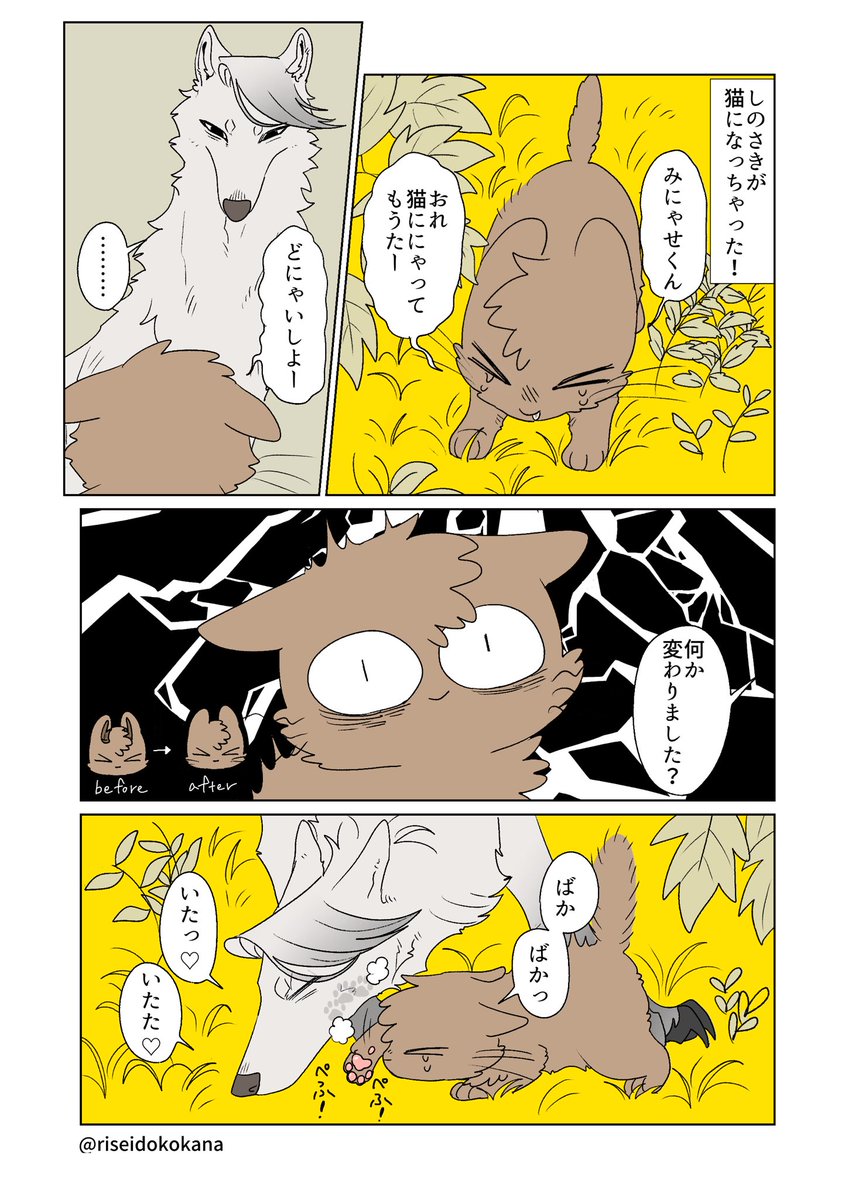 しのにゃん | 合鴨ミケランジェロ@単行本「ふたりのけもの」🐺🦌 さん