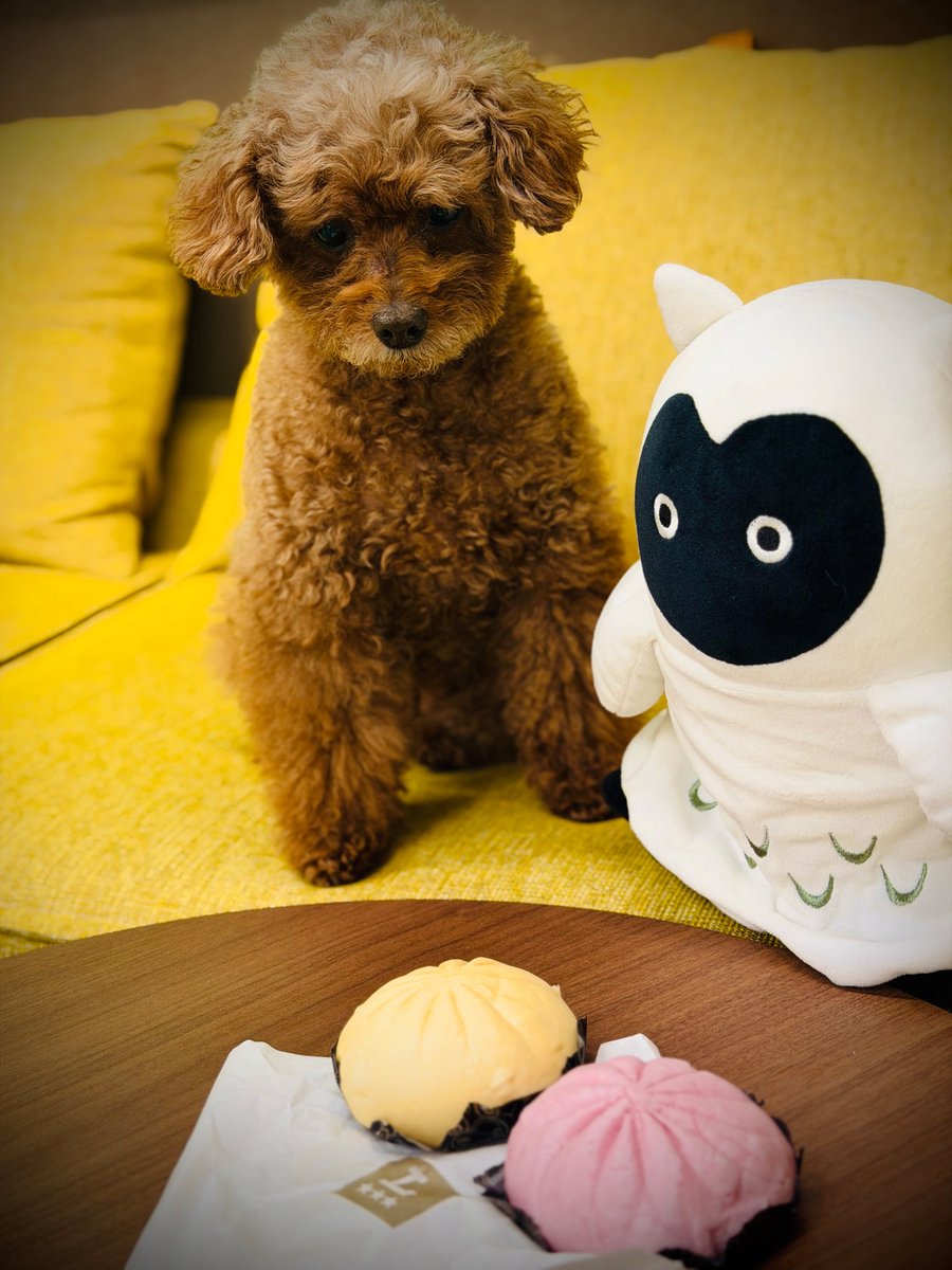 キューちゃん (@CUEchanOFFICIAL) / Posts / X