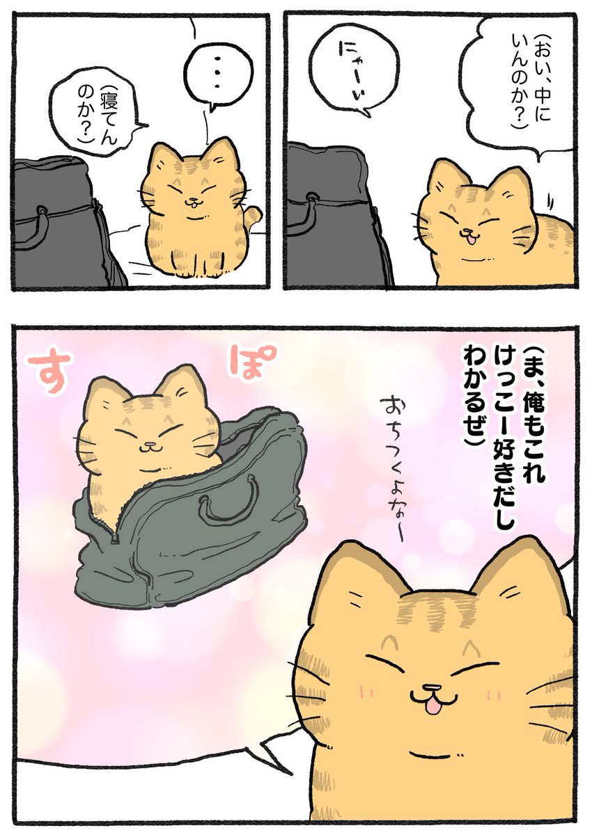 ねこに転生したおじさん。その801
