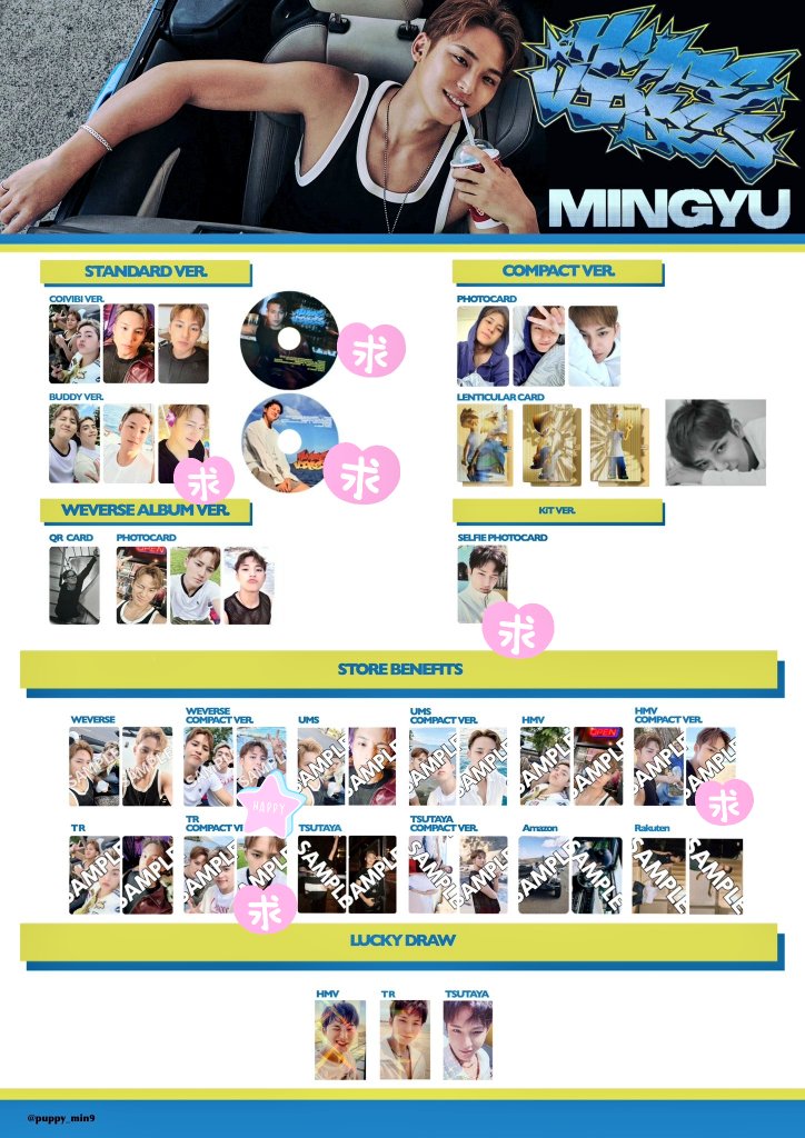 SEVENTEEN セブチ ミンギュ エスクプス CxM HYPE VIBES シリアル