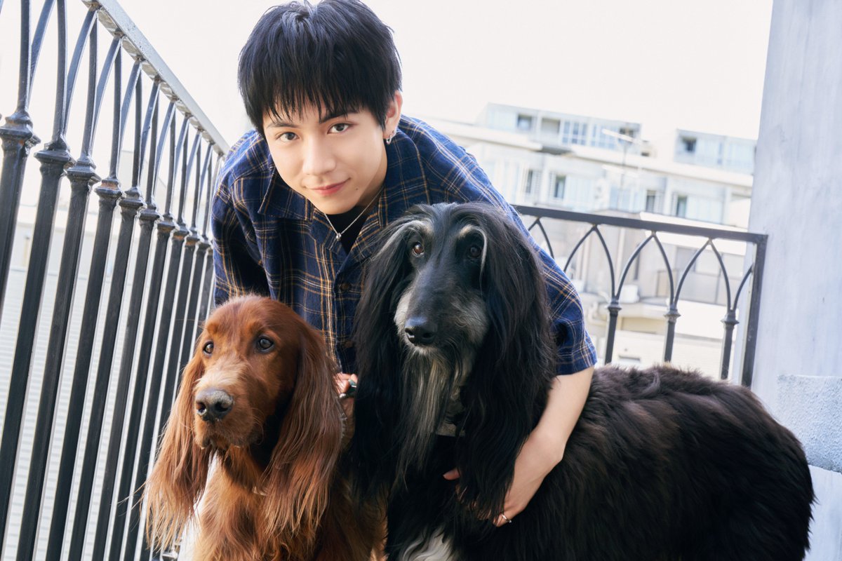 田中洸希 掲載情報📚 ／ 6月15日発売！ 「月刊わんこvol.19