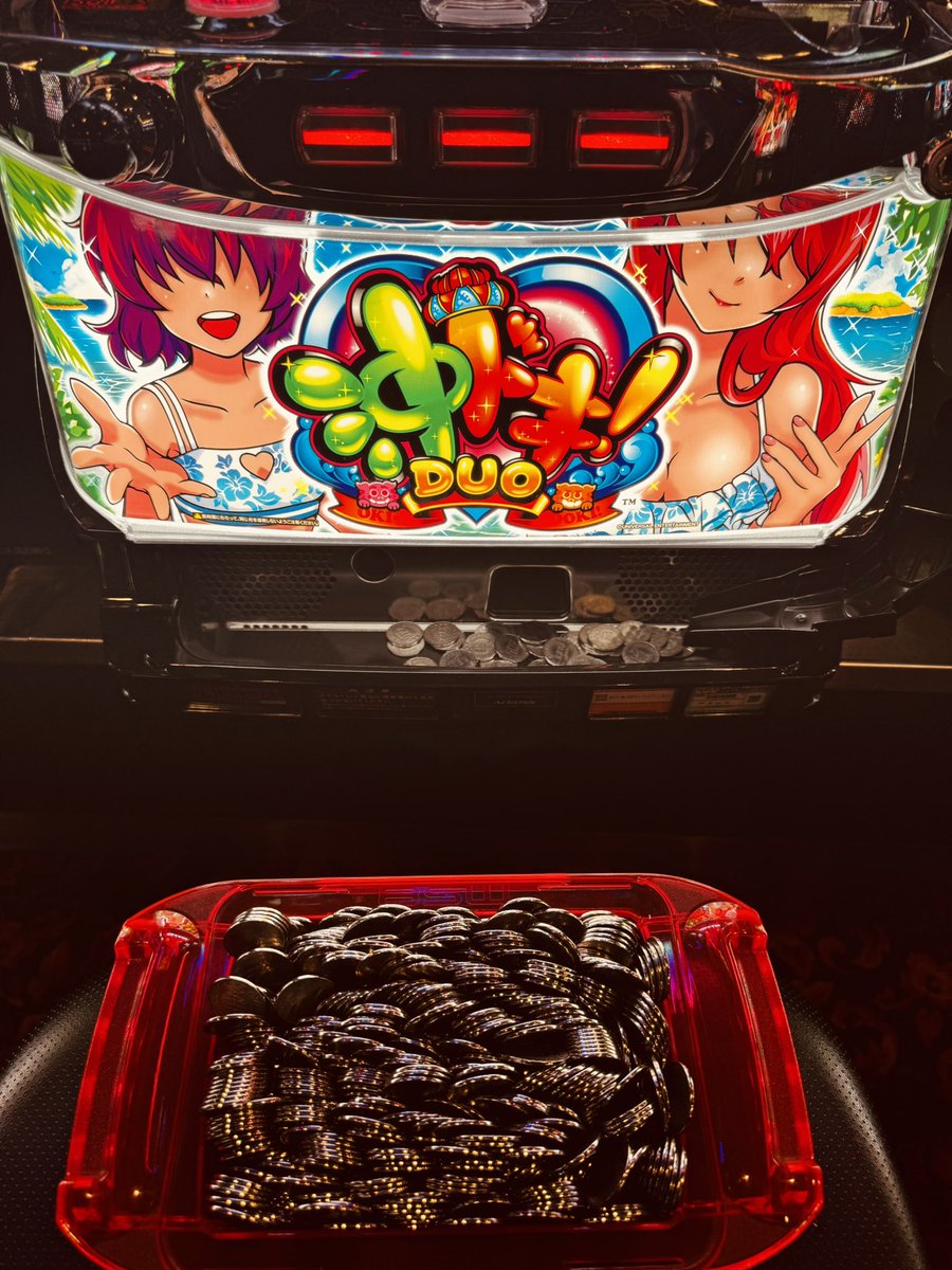 なおやん ハイエナの王 (@wildfunkys_nao) / Posts / X