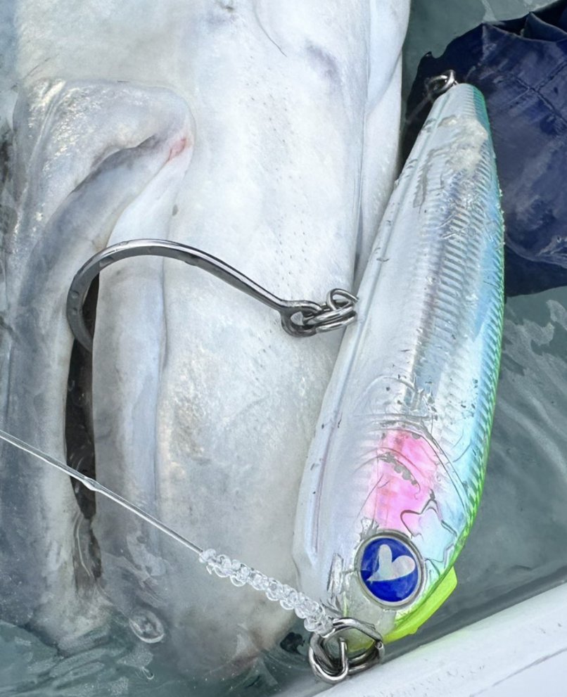 スカイグレイ コイノボリポッパー デブネコ アキヤポッパー スカイ