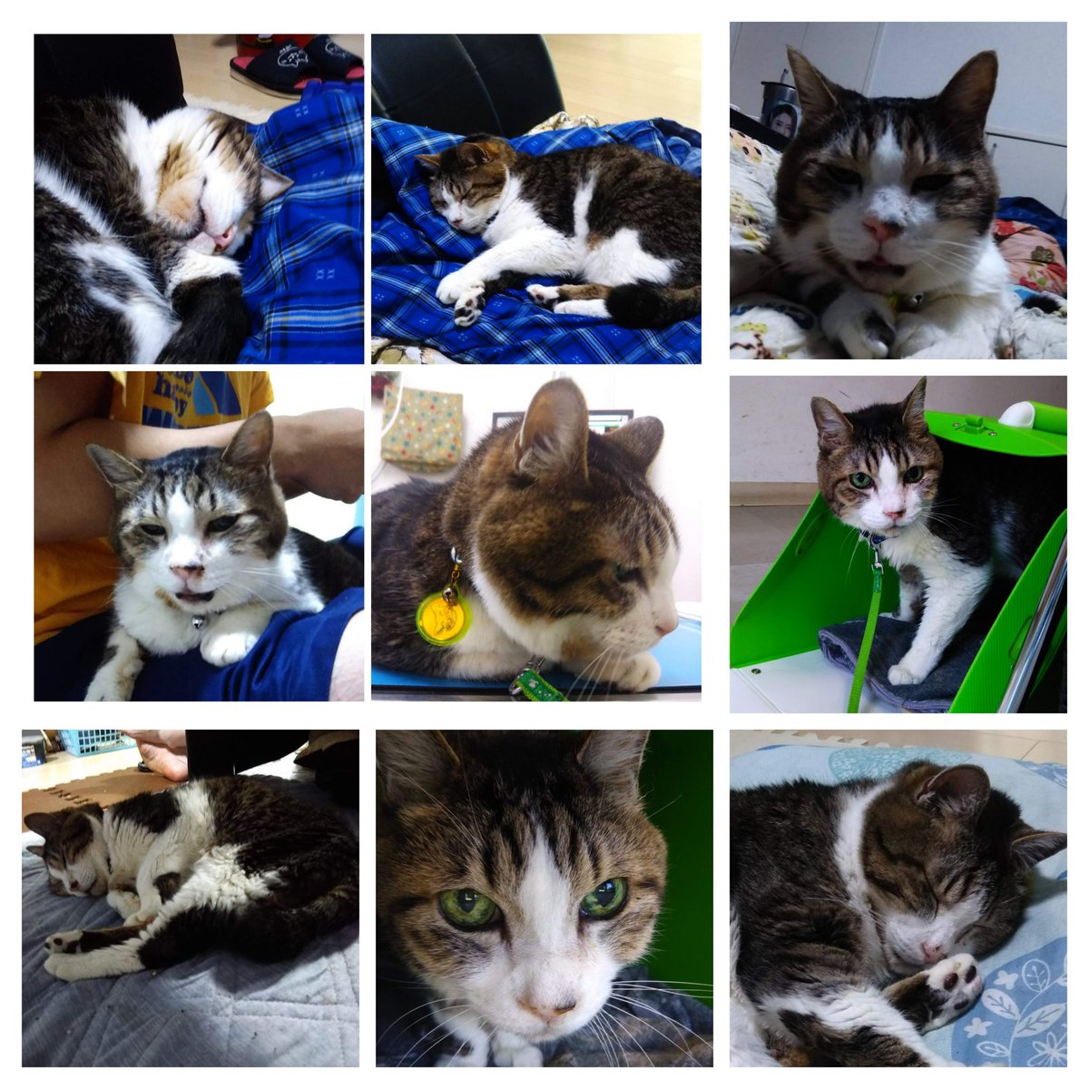 2022年10月22日没