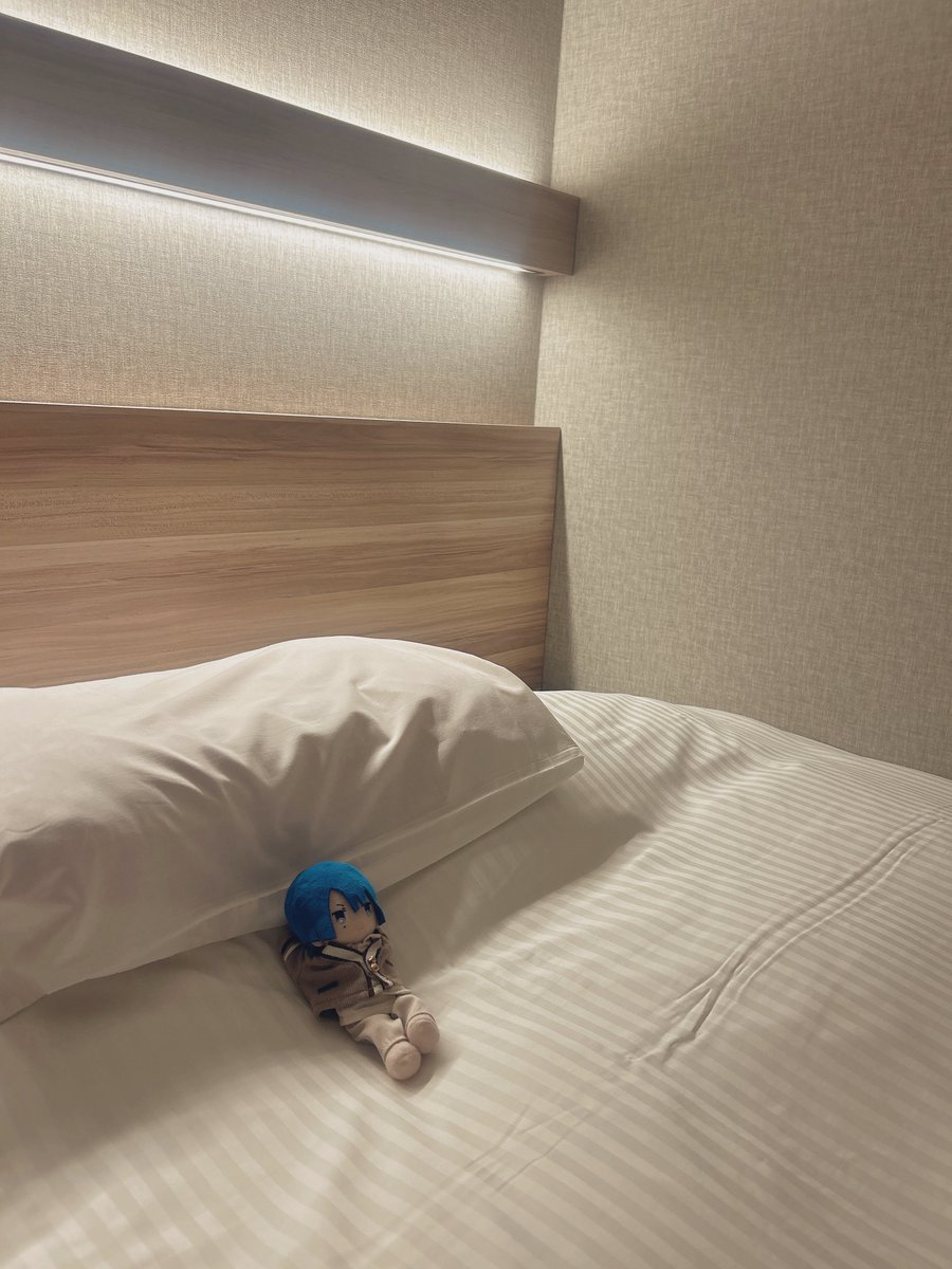 きなこっこ🐔 (@kinakokkonew) / Posts / X