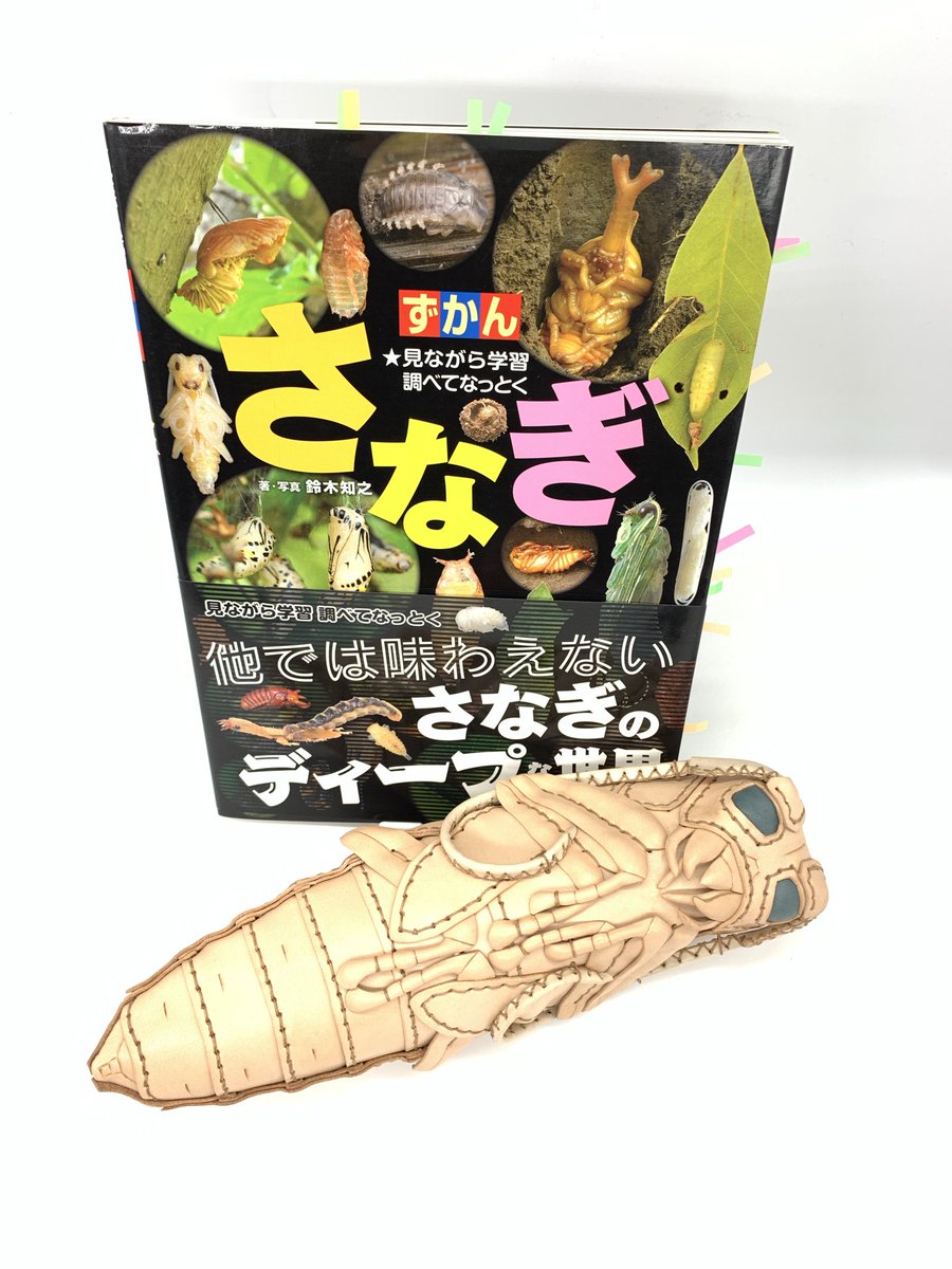 あまのじゃくとへそまがり (@amaheso_sp) / Posts / X