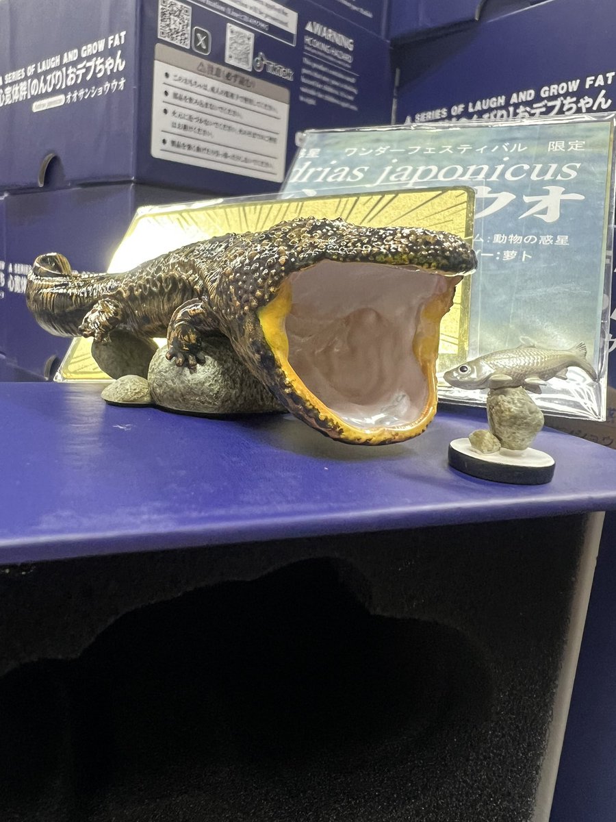 WF2026冬 限定88体 オオサンショウウオ 入荷して検品中です