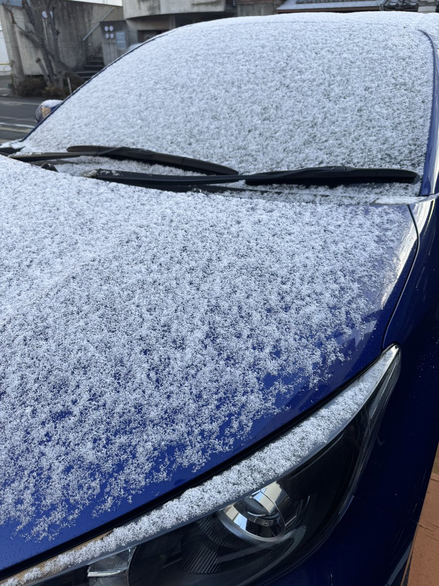 さっちゃん (@sa_chan40) / Posts / X