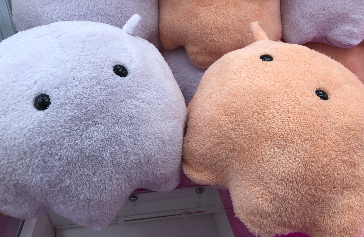 見た目の愛らしさから #深海のアイドル とまでいわれ 今や深海界随一の