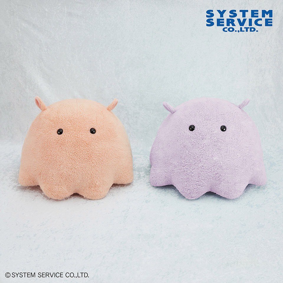 見た目の愛らしさから #深海のアイドル とまでいわれ 今や深海界随一の