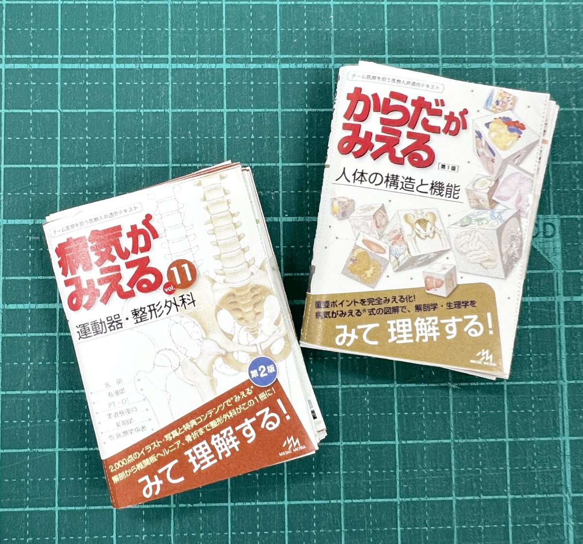 みえる｣シリーズの豆本のラインナップに『病気がみえるvol.11運動器