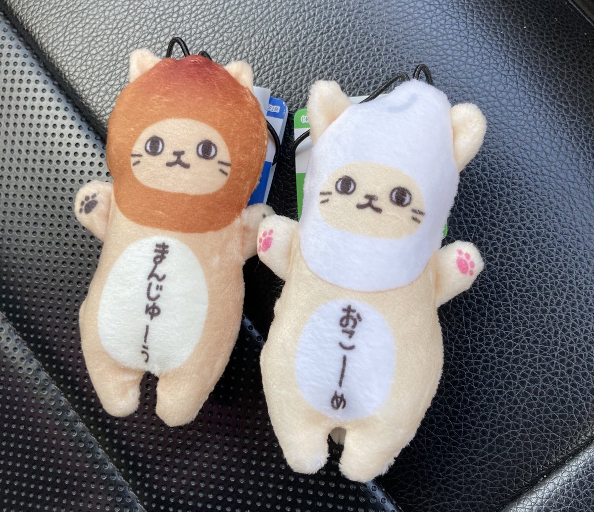 GqFnY8lbwAAqZPt.jpg?format=jpg