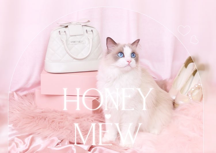 大切なご報告🎀🩶 ／ この度、アパレルブランド「HONEY MEW(ハニー