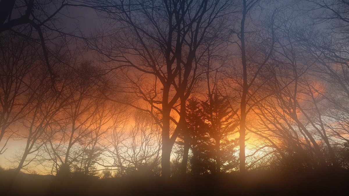 アトリエpuchuco (@puchuco709) / Posts / X