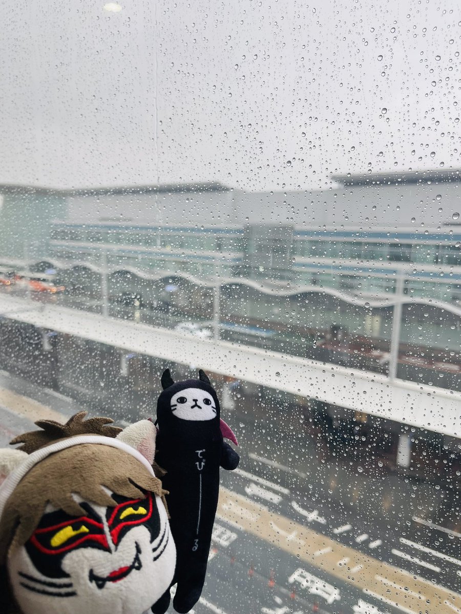 まーくん😈2月はRISE！🎸✨ (@JndyrYpBXhGc9qr) / Posts / X