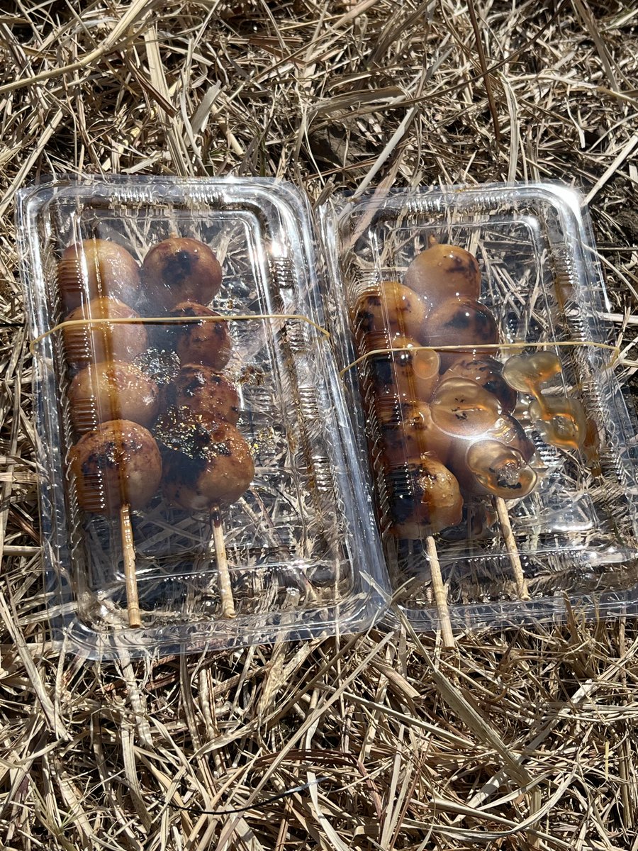 てんてん (@tentenkoubutu) / Posts / X