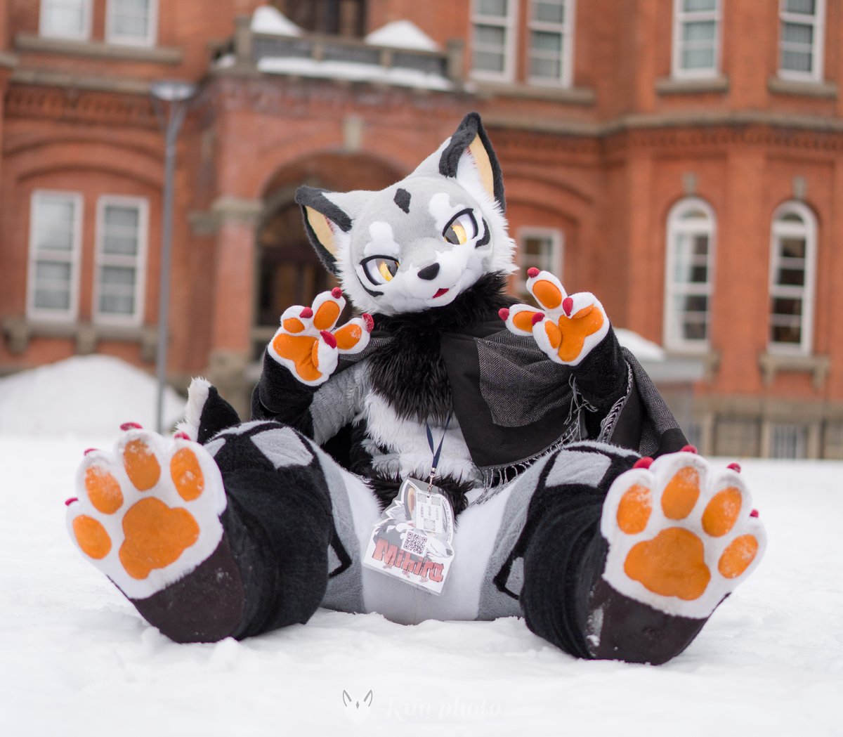 るん (Run) (@run_charizard) / Posts / X