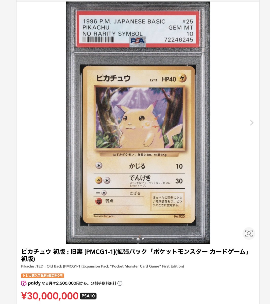 ピカチュウ3000万の出品？