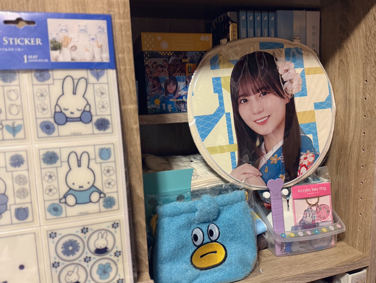 グッズだいぶ整理できた気がする❕ やっぱりビッグアクスタ、めちゃ