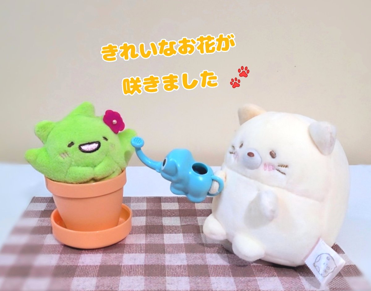 うさころ (@gFhvhN17oPD79PQ) / Posts / X