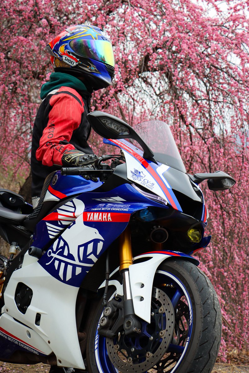 みっちゃん🦑 (@mi_ko_xxxx_ex) / Posts / X