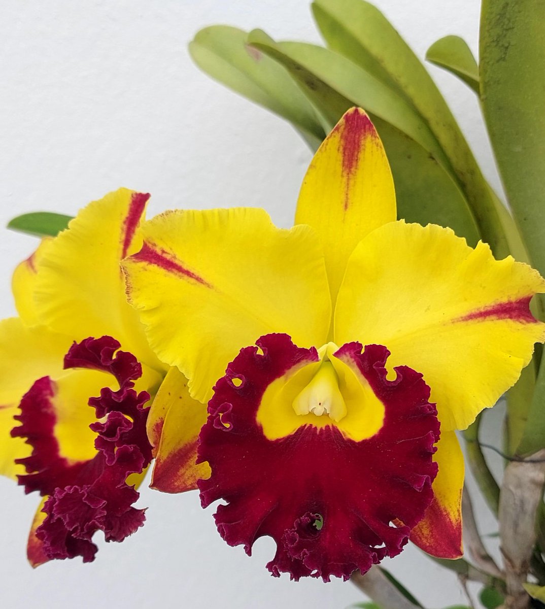 おやすみなさい！(-_-)zZ