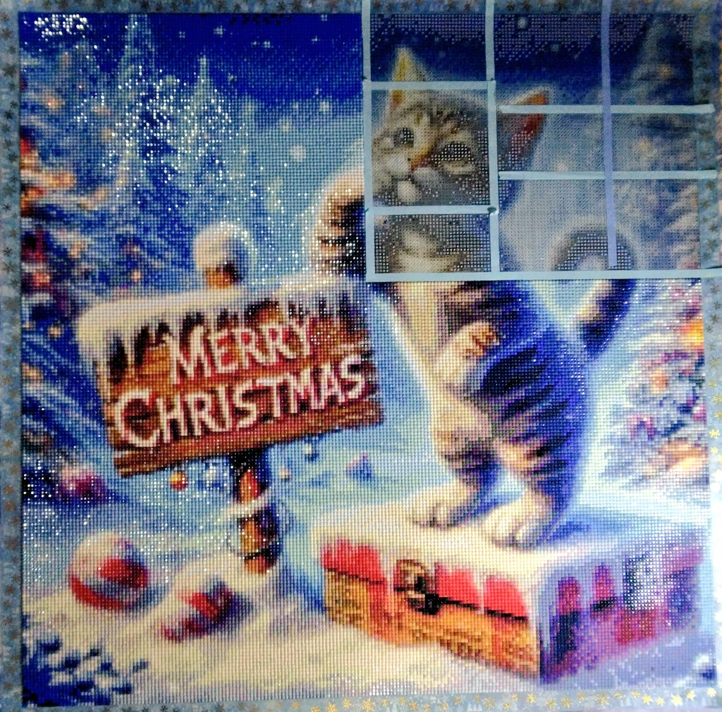 気まぐれにゃんこの季節外れのクリスマス🎄😸❄ これだけに集中すれば