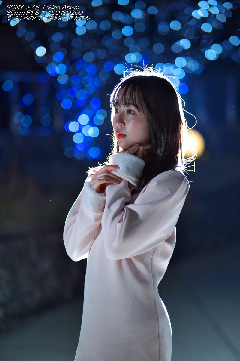 🇺🇦さくら🐇のパパ🇯🇵高配当株に移行中🇺🇦 (@K70_55) / Posts / X