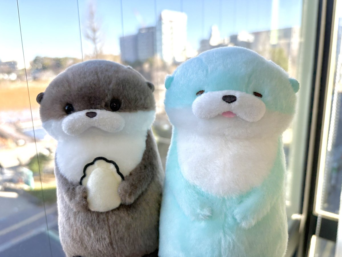 チョコミントの日ィ！ チョコミントカラーなUSSO🩵こげチャン