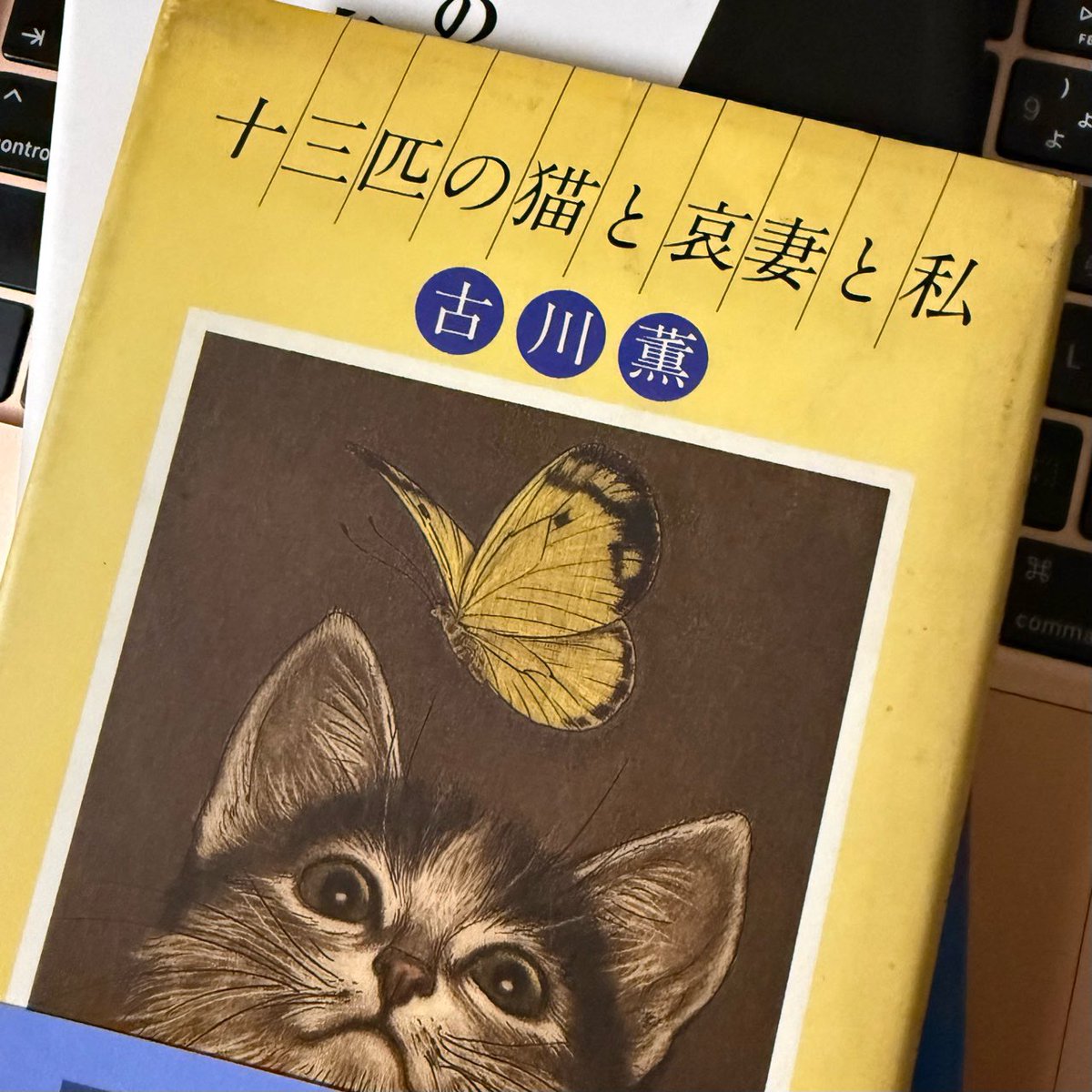 本日の購入品🐱 まずタイトルと表紙がいい。パラ読みした内容も
