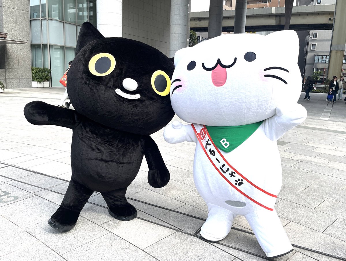 猫の手で猫の日を盛り上げ隊2026 べるーにゃ(@BELLUNA_ )さんと