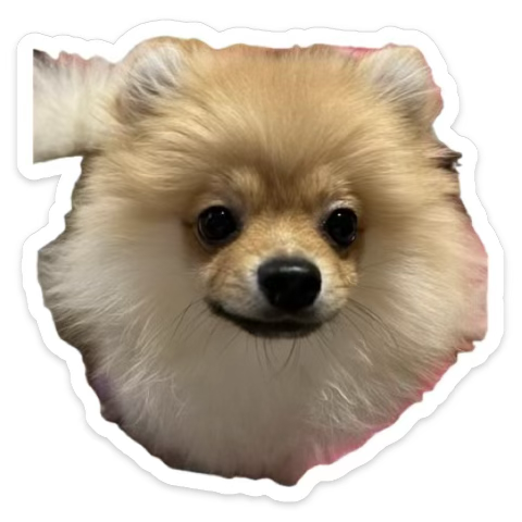 かわいすぎるwww