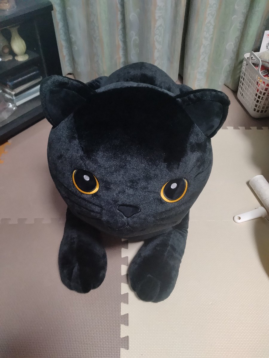 親の依頼でヤマト運輸のキャンペーンに応募したら圧倒的ニータンサイズ