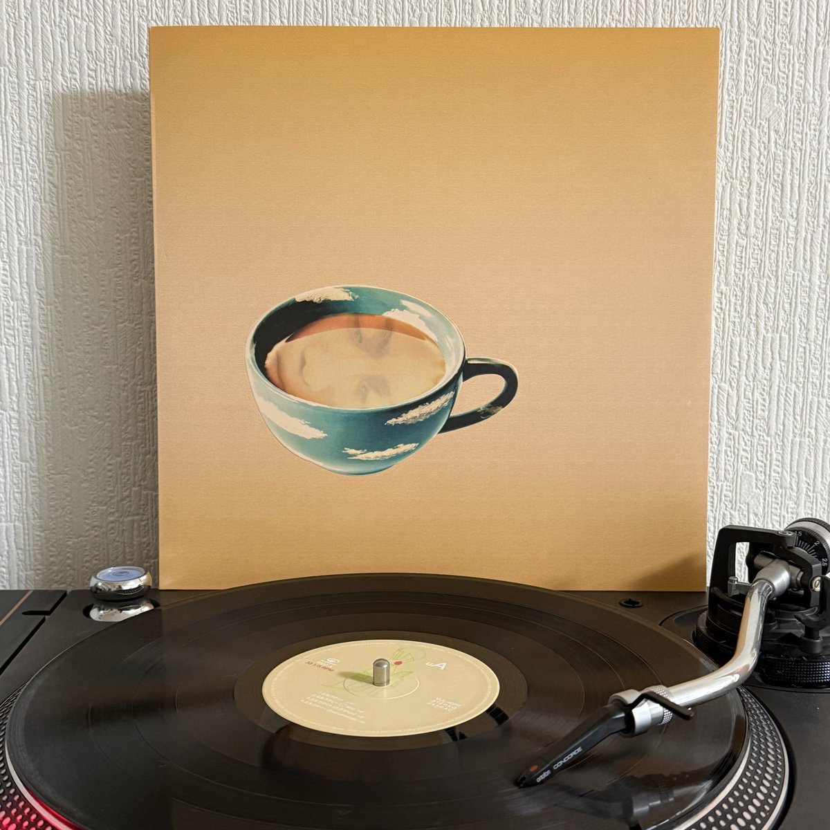 タッシー (@taccie) / Posts / X