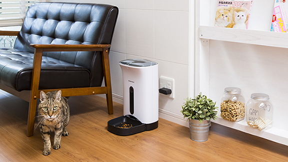 うちのこエレクトリックの猫犬用自動給餌器カリカリマシーン